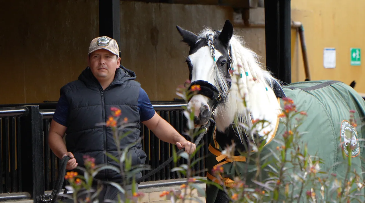 A horse and its keeper at the park