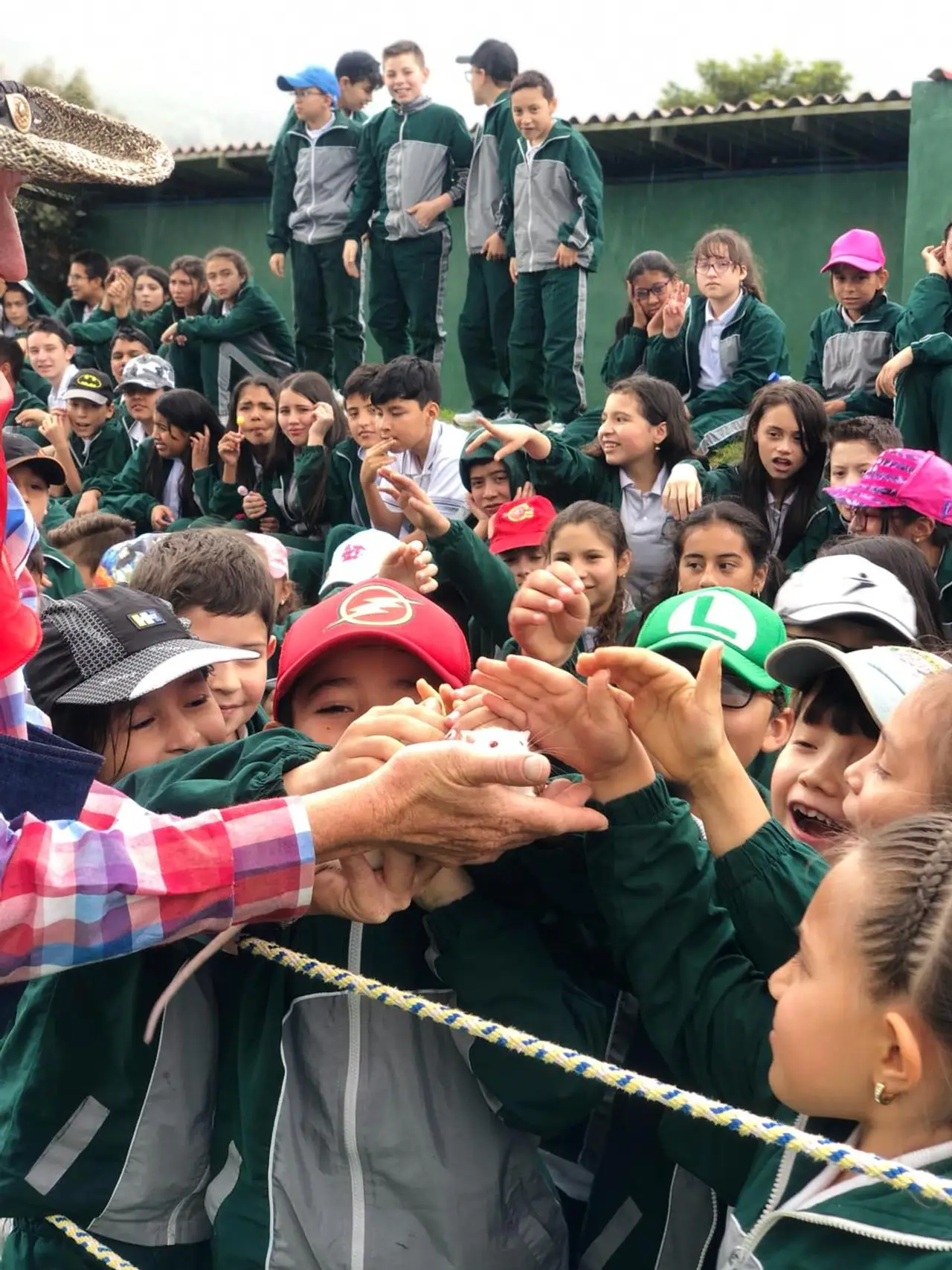Students petting an animal with a guide's help