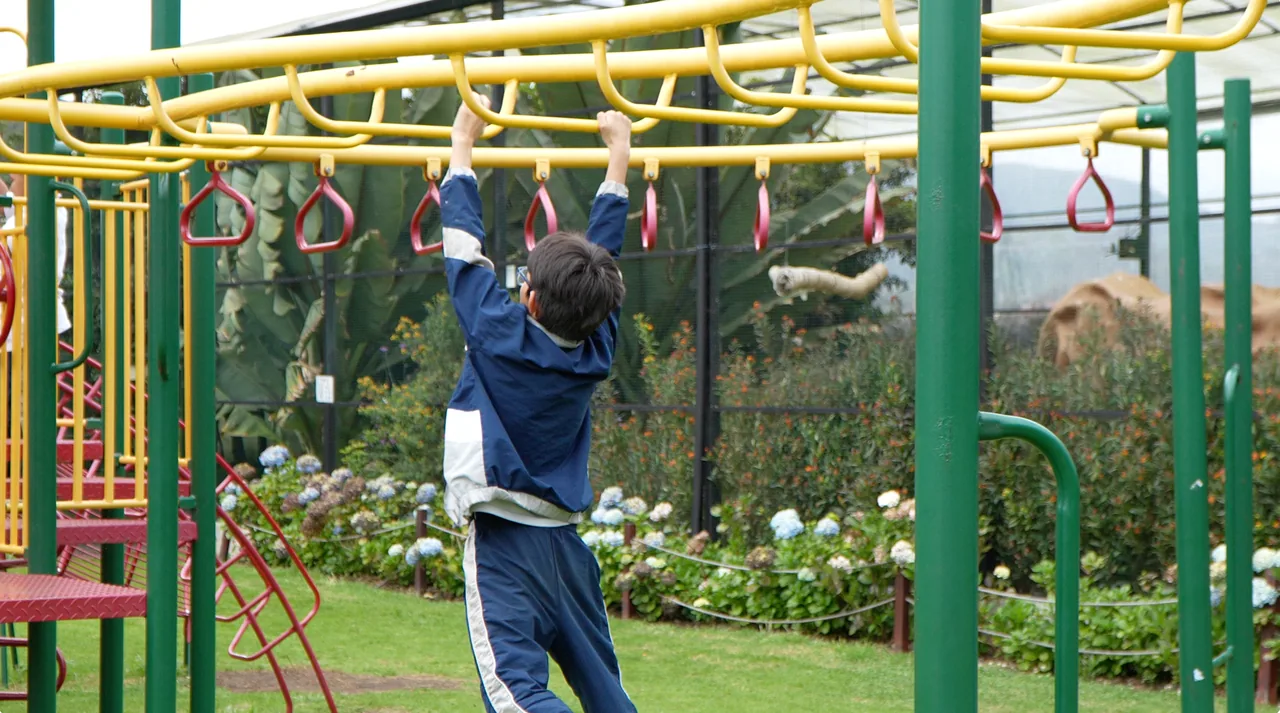 Student on the park's climbing bars